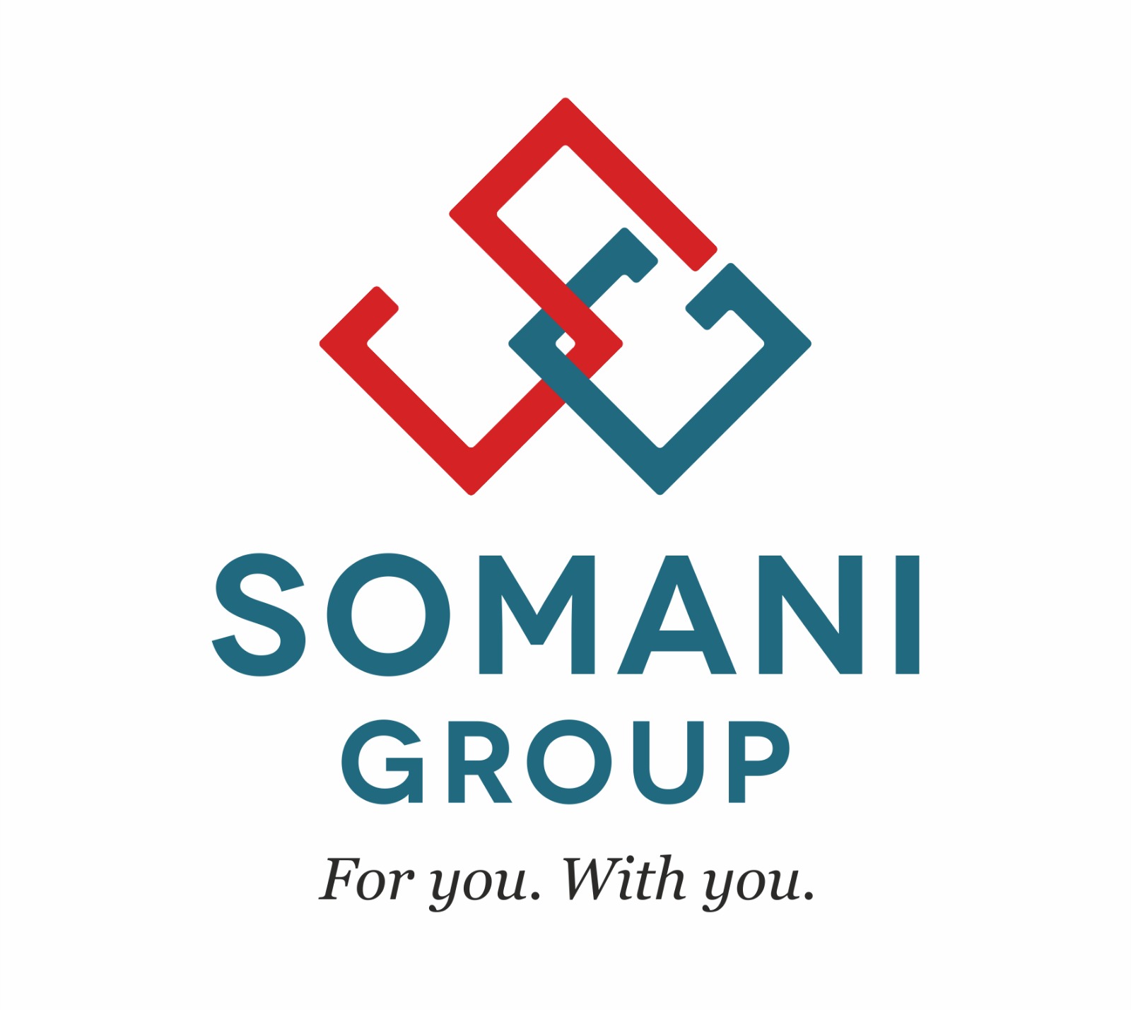Somani Group logo